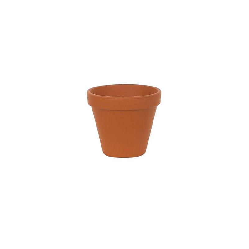 5.5" Spang Standard Pot