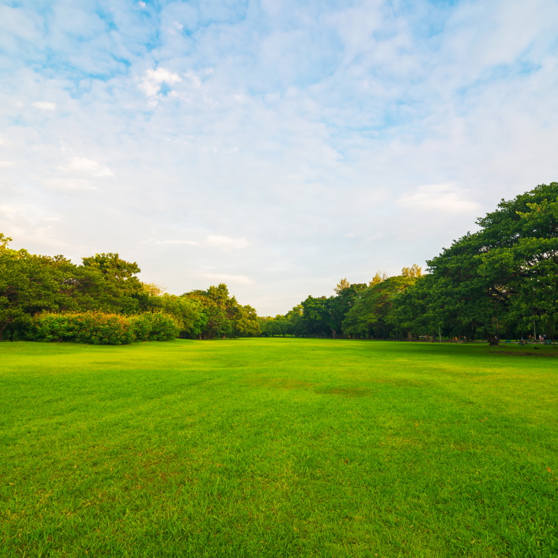 Lawn Care